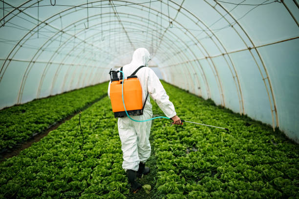 Best Pest Inspection Near Me  in Sound Beach, NY