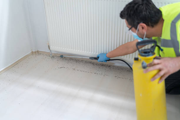 Best Cockroach Control Services  in Sound Beach, NY