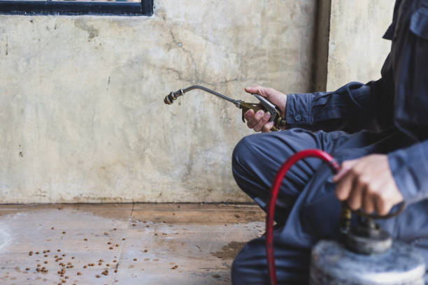 Best Wasp Removal Services  in Sound Beach, NY